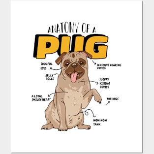 Anatomy Of A Pug Posters and Art